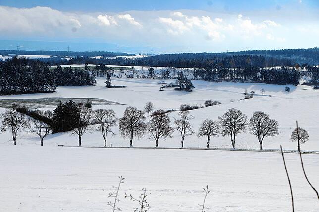 Bild 5: Der Winter hat zugeschlagen Teil 2