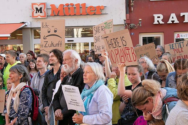 Bild 12: Jung und Alt streiken in Waldshut für das Klima &ndash; wir haben die Bilder