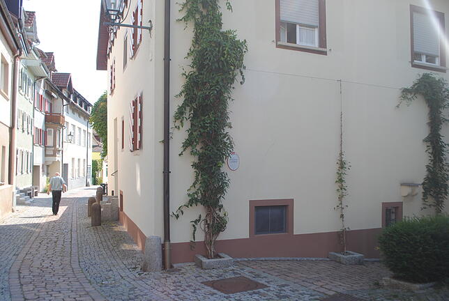 Frauenbad: Am Ende der Zubergasse an der Kreuzung zur Fahrgasse liegt das Frauenbad, auf Hebräisch Mikwe genannt, das dort 1866 im ...