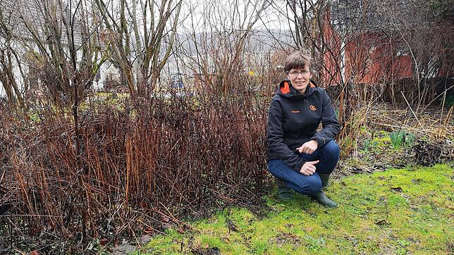 Referentin Kathrin Schwab kniet in ihrem Garten neben Herbstastern. Die Pflanzen hat sie im Herbst ganz bewusst nicht abgeschnitten, ...