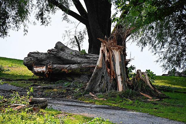 Bild 4: Bilder von den Einsätzen und massiven Schäden nach dem Unwetter in Bodman-Ludwigshafen