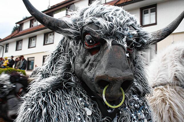 Bild 10: Herrischrieder Dorffasnacht: Hooriwälder und Dorfbuebe zeigen beeindruckende Masken