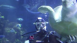 Konstanz Sea Life