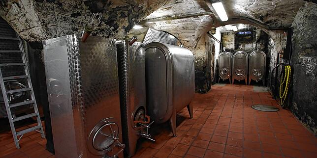 Bild 6: Ab in den Keller! Hier werden in Konstanz die Trauben in Wein verwandelt