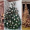 Jede Menge Hingucker: Viele Leserinnen und Leser haben uns Bilder ihres Weihnachtsbaums geschickt.