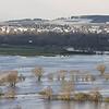 Die junge Donau zwischen Donaueschingen und Pfohren ist über ihre Ufer getreten und präsentiert sich in diesen Tagen fast schon als ...
