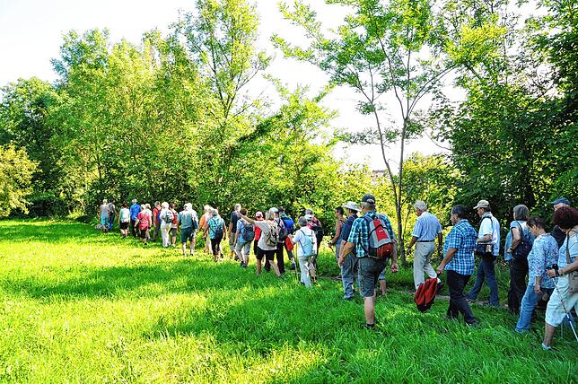 Genusswandern ist rund um den Gehrenberg überall möglich. Neben den Premiumwanderwegen gibt es auch zahlreiche andere beschilderte ...
