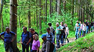 Die Tour der Schwandorfer Wandergruppe mit 50 Teilnehmern, geführt von Ortsvorsteher Günter Binder, ging zum Naturdenkmal Wasserfall. ...