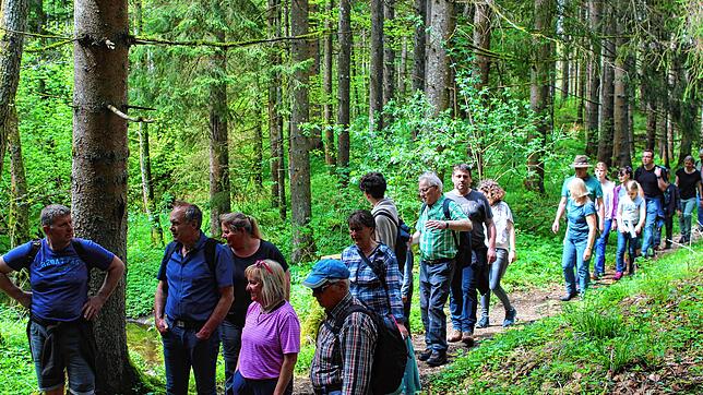 Die Tour der Schwandorfer Wandergruppe mit 50 Teilnehmern, geführt von Ortsvorsteher Günter Binder, ging zum Naturdenkmal Wasserfall. ...