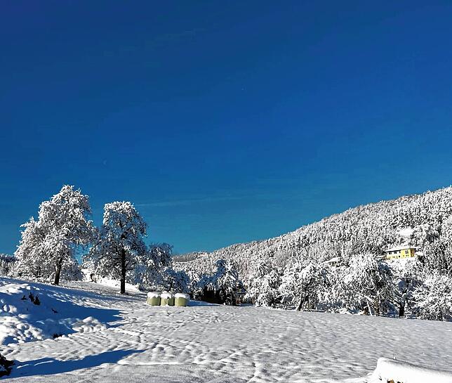 In Tengen-Uttenhofen liegt seit dem Wochenende eine weiße Schneepracht.