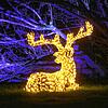 (Archivbild) Mehrere beleuchtete Tiere &ndash; wie hier ein Elch &ndash; zieren 2022 den Wegesrand beim Christmas Garden Mainau. In ...