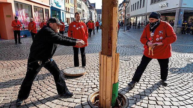 Klaus Neininger (links) von der Katzenmusik und Stefan Richt von den Ziegelbuben bringen den 22 Meter hohen Narrenbaum fachmännisch Zu Fall.