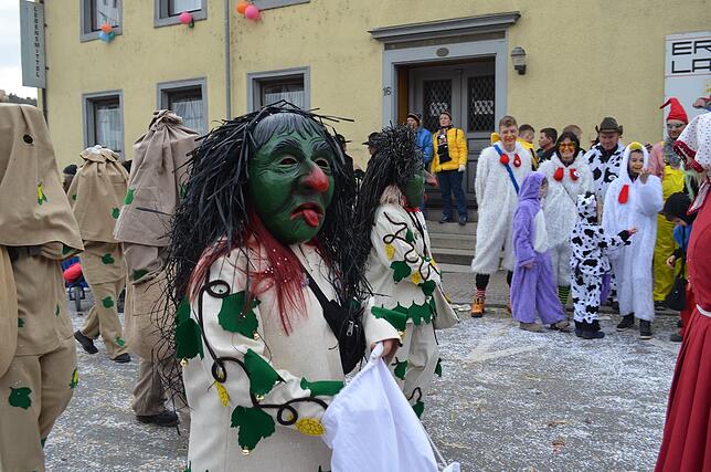 Bild 5: Eigeltinger Narrentage: Der Sonntagsumzug in Bildern (4)