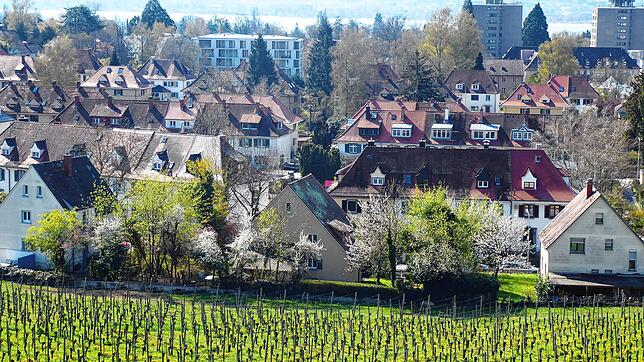 Ein Teil des Sierenmoos, fotografiert vom Höhenweg, im Vordergrund die Weinberge der Spitalstiftung.