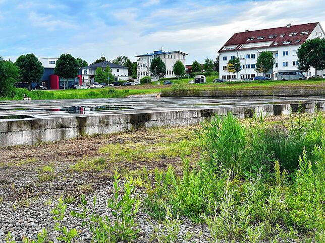 Dieses Grundstück im Gewerbegebiet Rohrbach ist eines der wenigen, die noch nicht bebaut sind – obwohl Bauarbeiten hier offensichtlich ...