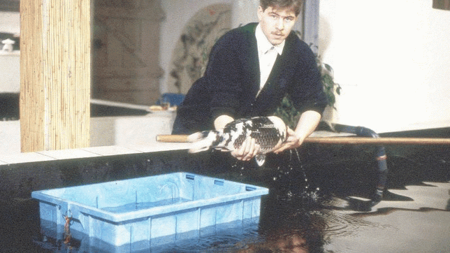 1994: Richard Hilble an einem seiner Innenbecken für die Kois. 1990 gründete er Sakanaya in Markdorf. Seither widmet er sein Berufsleben ...