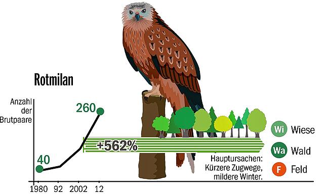 Vogelwelt_online_Rotmilan