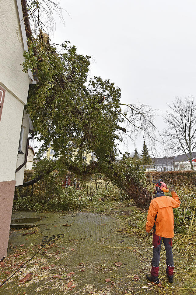 Bild 6: Den Baum am Haken: In Haus gekrachter Baum in der Donaueschinger Straße wird mit dem großem Kran entfernt