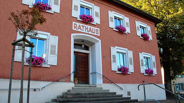 Mit Christian Walter, Severin Rommeler und Dominik Kugler gibt es drei ernsthafte Bewerber für das Amt des Bürgermeisters in Sauldorf. ...