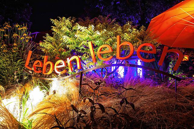 Bild 21: Lichtgestalten erobern das Gelände der Landesgartenschau &ndash; hier gibt es die Bilder