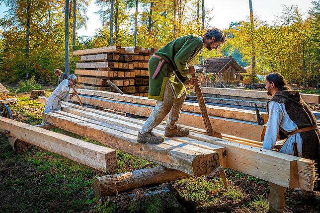 Auf dem Abbundplatz liegt viel Holz bereit, das bereits im vergangenen Jahr für die Scheune vorbereitet wurde. Im Vordergrund die beiden ...