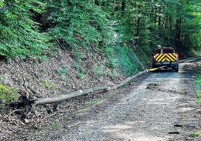 Die Feuerwehr zieht den umgestürzten Baum, der quer über dem Weg lag, zur Seite.