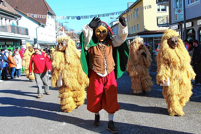 Bild 26: Bonndorf durch Zeit und Raum: Alle Bilder vom Fasnachtsumzug 2025