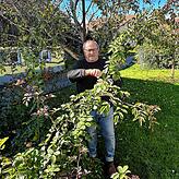 Erich Boll in seinem Garten in Nöggenschwiel. Tipps für das richtige Schneiden und den passenden Schutz für die Winterzeit hat er in ...