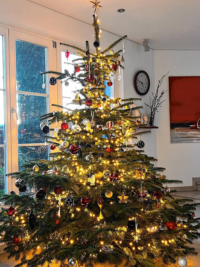 Bei Karin Peterhans in Hohentengen steht dieser festlich beleuchtete Christbaum.