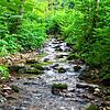 Der Schwarzenbach ein Stück oberhalb der Schwarzen Säge. So soll der Bach nach der Renaturierung überall aussehen.