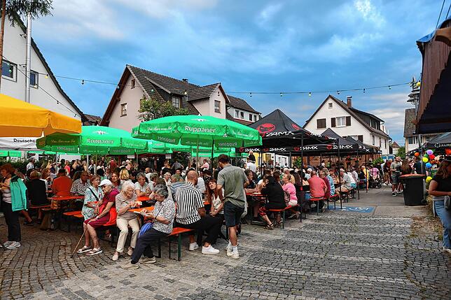 Bild 26: Party im Konstanzer Vorort: Auf dem Dingelsdorfer Herbstfest treffen sich Jung und Alt
