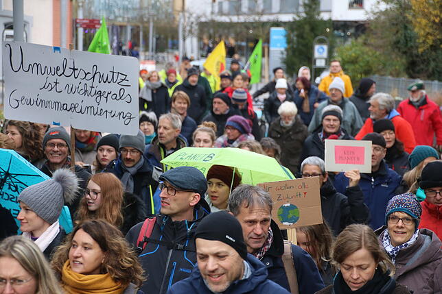 Bild 6: Fridays-for-Future geht in die nächste Runde: Bilder und Videos von der Demonstration in Radolfzell