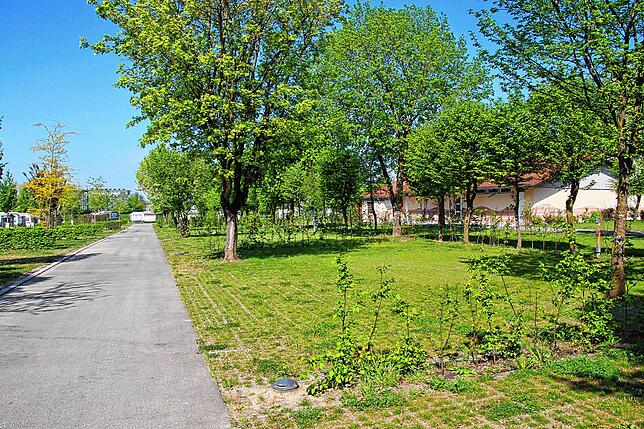 Alles leer, einsam wacht der Baum über Platz Nummer 24, den Marlies und Gerard Bolster seit 32 Jahren für ihren Sommerurlaub auf dem ...