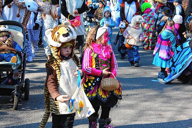 Bild 3: Fasnacht-Umzug 2025 in Wutöschingen: 41 Gruppen bringen viel Freude