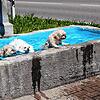 in diesen heißen Sommertagen ist das Schwimmbad im Küssaberger Ortsteil Reckingen gut besucht, die Menschen suchen und finden Abkühlung ...