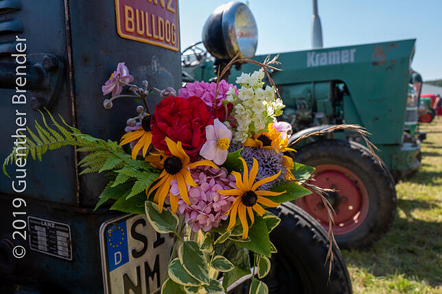 Bild 49: Bilder vom Vollgaserfest im Ilgental