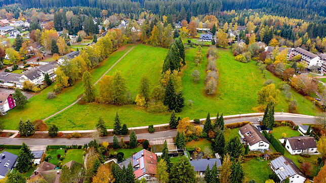 Auf dieser Wiese im Villinger Kurgebiet, dem alten Kurpark, soll ein Wohngebiet für etwa 500 Menschen entstehen. Nun soll im Technischen ...