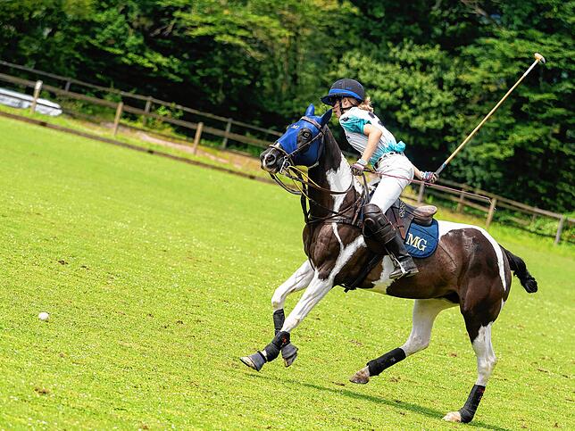 2024 hat der Polo Club Ettikoner Hof erstmals Turniere im Landkreis Waldshut veranstaltet. Mit Pferd, Reiter, Ball und Tor geht es in ...