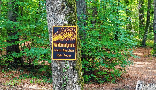 Im Landkreis Waldshut besteht wegen der langanhaltenden Trockenheit derzeit erhöhte Waldbrandgefahr.