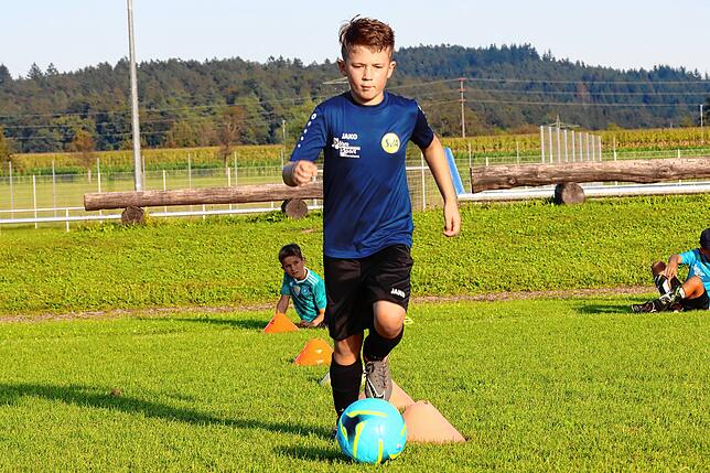 Bild 2: Auch die Jugendfußballer starten in die Saison. Wir haben Bilder vom E-Jugendtraining des SV Allensbach!