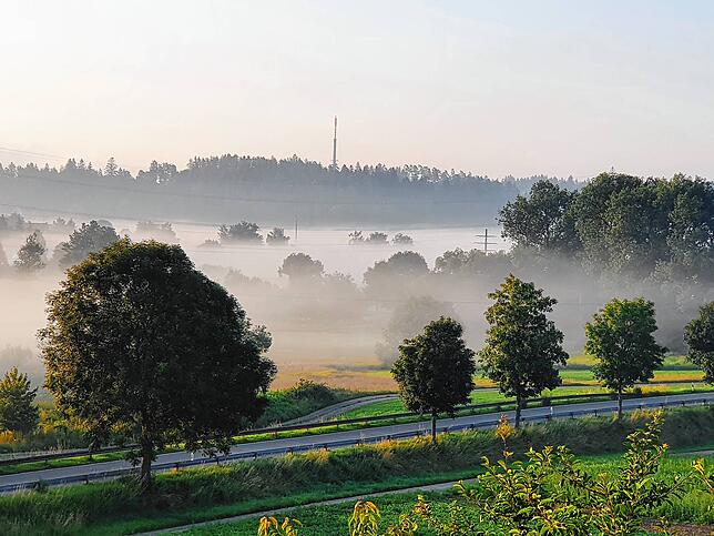 Sonntagmorgen bei Marbach: Rund um die Brigach dampfen die Wiesen. Die Luftfeuchtigkeit liegt bei Werten um die 90 Prozent. Bild: ...