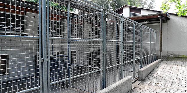 Das Hundehaus wurde durch das Unwetter der letzten Wochen überschwemmt und kann aktuell nicht mehr genutzt werden.