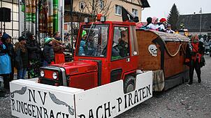 Bild : So schön ist das Narrentreffen in Herdwangen