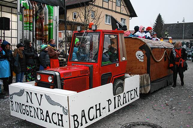 Bild 1: So schön ist das Narrentreffen in Herdwangen