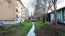 Zur Sicherheit: Vor dem Gebäude Blarerstraße 49 (links) soll eine Schutzwand gebaut werden, falls der Grenzbach über die Ufer tritt.