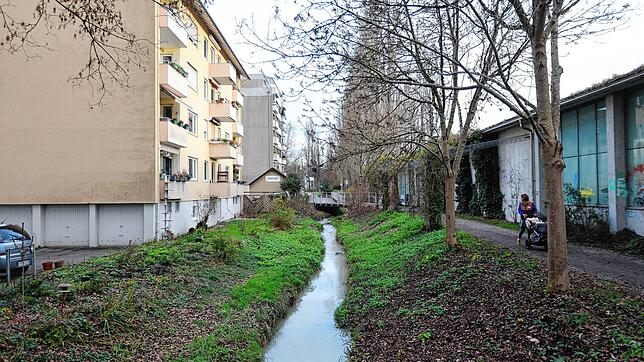 Zur Sicherheit: Vor dem Gebäude Blarerstraße 49 (links) soll eine Schutzwand gebaut werden, falls der Grenzbach über die Ufer tritt.