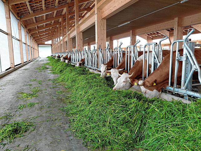 Der neue Stall bietet Platz für bis zu 120 Tiere.