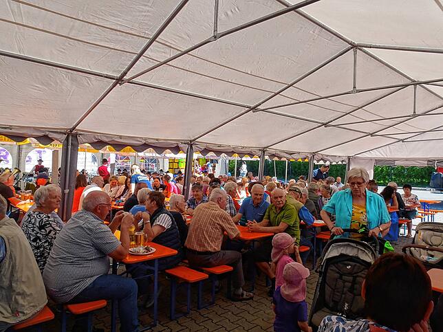 Bild 7: Bilder vom Floriansfest der Freiwilligen Feuerwehr Oberteuringen