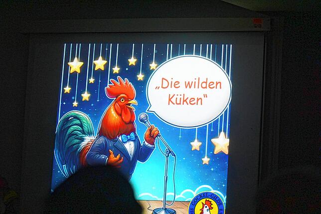 Bild 14: Bildergalerie: So bunt war der Gockelball in Zollhaus