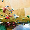 Die beiden Ebenen in der Boulderhalle sind mit einem Tunnel verbunden, dessen Durchquerung nur etwas für Könner wie Betreiber Patrick ...